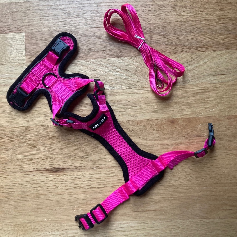 NIP Rabbitgoo Cat Harness and Leash + New Voyager Harness